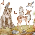 plakat-fragment-lesne-zwierzatka-mis-i-jelonek_web.webp