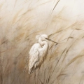 polna-laka-z-ptakiem-czapla-fragment_web.webp