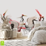 Fototapeta Białe żurawie