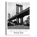 plakat-biala-most-manhattan-bridge-nowy-jork_web.webp