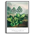 plakat-czarna-kwiaty-botaniczny-vintage-obraz_web.webp