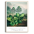 plakat-drewno-kwiaty-botaniczny-vintage-obraz_web.webp