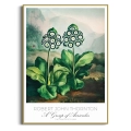 plakat-zlota-kwiaty-botaniczny-vintage-obraz_web.webp