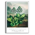 plakat-srebrna-kwiaty-botaniczny-vintage-obraz_web.webp