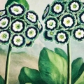 plakat-fragment-kwiaty-botaniczny-vintage-obraz_web.webp