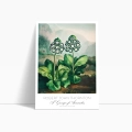 plakat-bok-kwiaty-botaniczny-vintage-obraz_web.webp