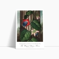 plakat-bok-robert-john-thornton-the-winged-passion_web.webp