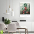 plakat-biala-wnetrze-robert-john-thornton-the-narrow-leaved-kalmia_web.webp