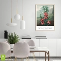 plakat-drewno-wnetrze-robert-john-thornton-the-narrow-leaved-kalmia_web.webp