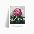 plakat-botaniczny-rododendron-robert-thornton-vintage-retro-zielen-salon-bok_web.webp
