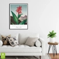 plakat-czarna-wnetrze-robert-john-thornton-indian-reed_web.webp
