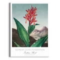 plakat-biala-robert-john-thornton-indian-reed_web.webp