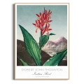 plakat-drewno-robert-john-thornton-indian-reed_web.webp
