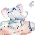 fragment-zwierzeta-w-samolotach-pastelowe-boho_web.webp