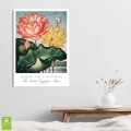 188-plakat-brak-wnetrze_web.webp