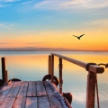 fragment-do-salonu-pomost-jezioro-zachod-slonca_web.webp