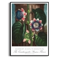 plakat-czarna-robert-john-thornton-the-quadrangular-passion-flower_web.webp