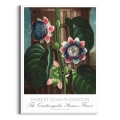 plakat-biala-robert-john-thornton-the-quadrangular-passion-flower_web.webp