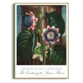 plakat-zlota-robert-john-thornton-the-quadrangular-passion-flower_web.webp
