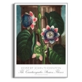 plakat-srebrna-robert-john-thornton-the-quadrangular-passion-flower_web.webp