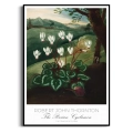 plakat-czarna-botaniczny-the-persian-cyclamen-thornton-vintage_web.webp