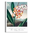 botaniczny-the-nodding-renealmia-thornton-vintage-plakat-biala_web.webp