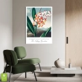 botaniczny-the-nodding-renealmia-thornton-vintage-plakat-biala-wnetrze_web.webp