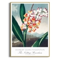 botaniczny-the-nodding-renealmia-thornton-vintage-plakat-zlota_web.webp