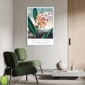 botaniczny-the-nodding-renealmia-thornton-vintage-plakat-srebrna-wnetrze_web.webp