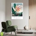 botaniczny-the-nodding-renealmia-thornton-vintage-plakat-brak-wnetrze_web.webp