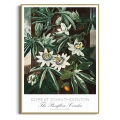 botaniczny-passiflora-vintage-do-salonu-plakat-zlota_web.webp