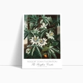botaniczny-passiflora-vintage-do-salonu-plakat-bok_web.webp