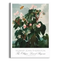 begonia-vintage-do-salonu-plakat-biala_web.webp