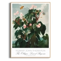 begonia-vintage-do-salonu-plakat-drewno_web.webp