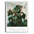 begonia-vintage-do-salonu-plakat-srebrna_web.webp