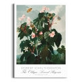 begonia-vintage-do-salonu-plakat-brak_web.webp