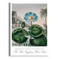 lilia-wodna-vintage-do-salonu-plakat-brak_web.webp