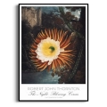 botaniczny-krolowa-nocy-retro-do-sypialni-i-salonu-kaktus-kwiaty-vintage-plakat-czarna_web.webp
