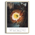 botaniczny-krolowa-nocy-retro-do-sypialni-i-salonu-kaktus-kwiaty-vintage-plakat-zlota_web.webp