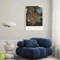 botaniczny-stapelia-retro-rycina-kwiaty-do-salonu-sypialni-vintage-zielony-czerwony-plakat-drewno-wnetrze_web.webp