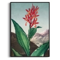 the-indian-reed-thornton-japandi-czerwony-zielony-bm-plakat-czarna_web.webp