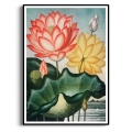 225-plakat-czarna_web.webp