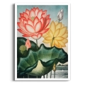 225-plakat-brak_web.webp