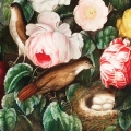 roses-thornton-vintage-roze-ptaki-sypialnia-fragment_web.webp