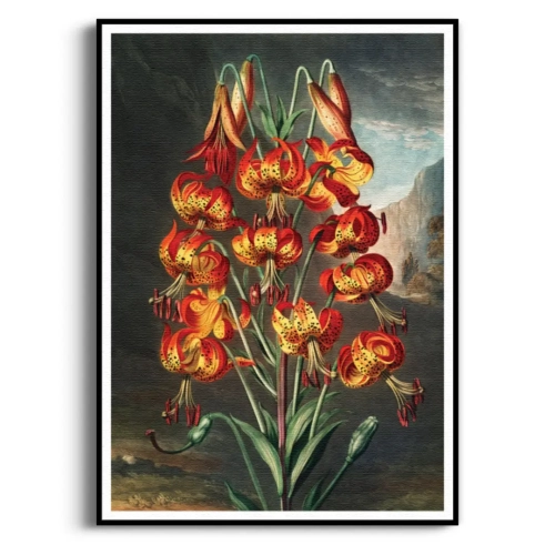 the-superb-lily-thornton-vintage-salon-pomaranczowy-plakat-czarna_web.webp