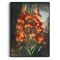 the-superb-lily-thornton-vintage-salon-pomaranczowy-bm-plakat-czarna_web.webp
