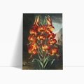 the-superb-lily-thornton-vintage-salon-pomaranczowy-bm-plakat-bok_web.webp