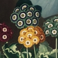 the-auriculas-thornton-vintage-salon-gory-fragment_web.webp