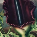the-dragon-arum-thornton-vintage-salon-bordowy-fragment_web.webp