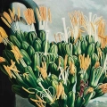 the-night-blowing-cereus-thornton-vintage-salon-zolty-fragment_web.webp